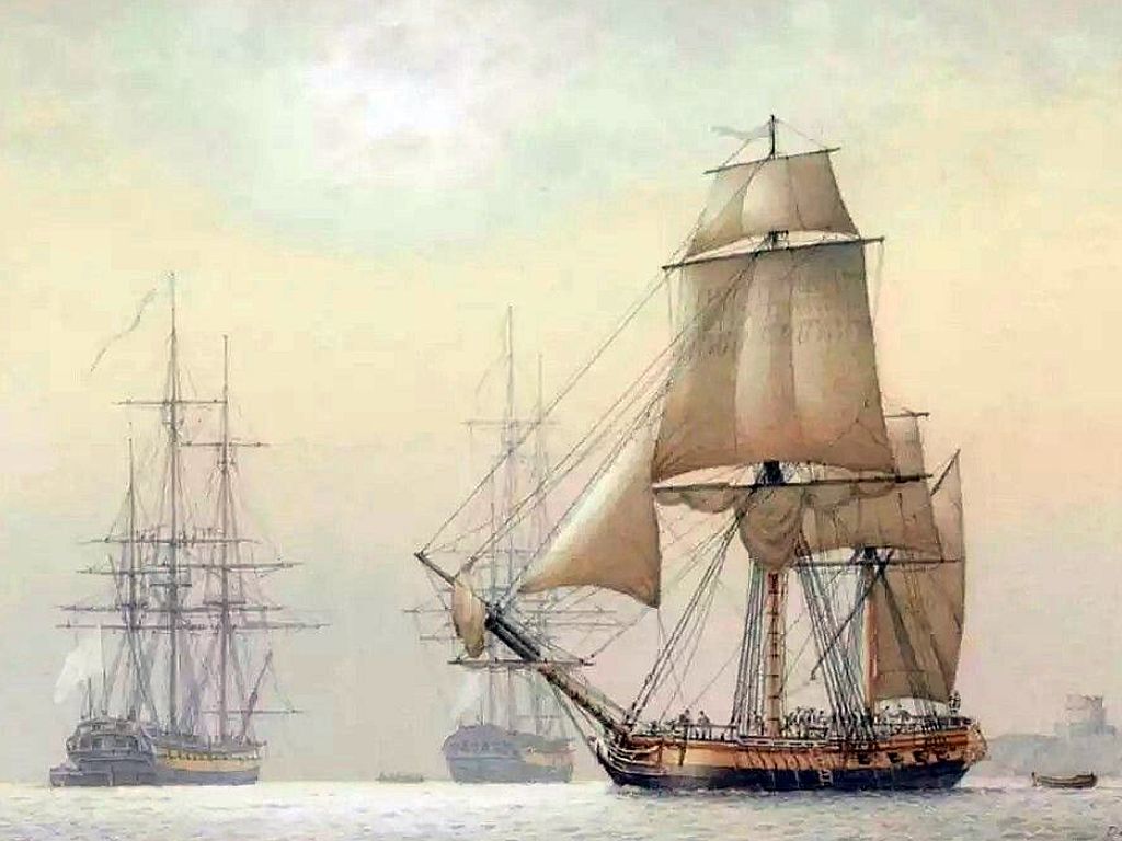 Bomb Ketch Salamander (jpg)